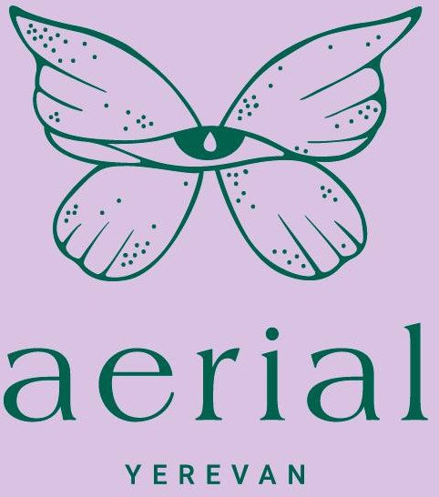 Aerial Yerevan  