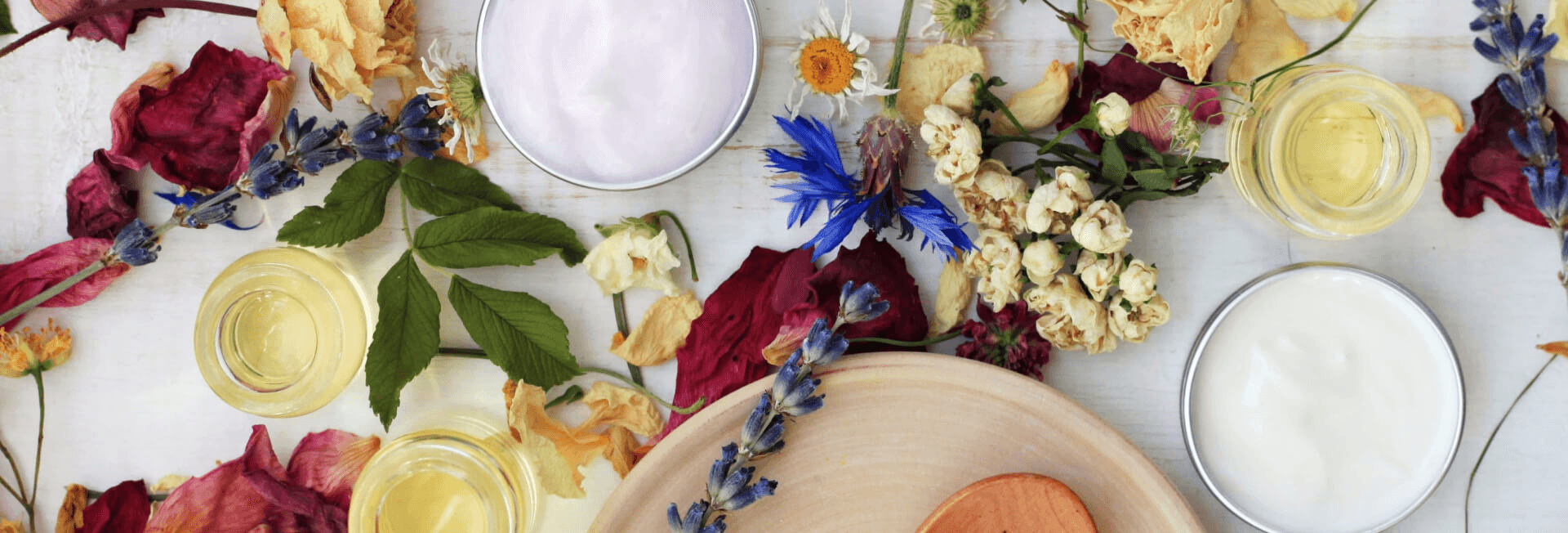 Eco Ayurvedic and Yoga Center  